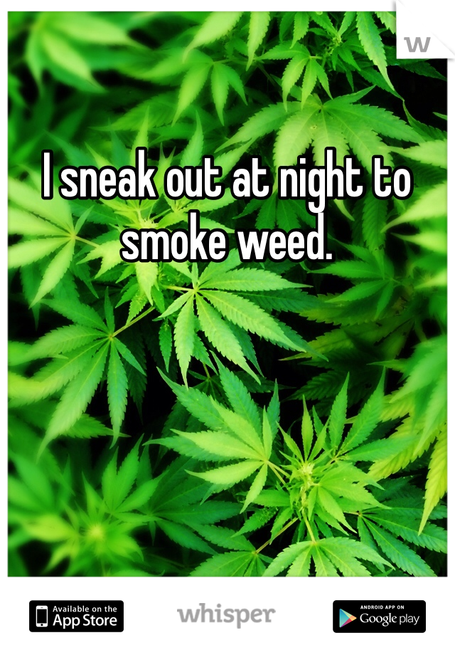 I sneak out at night to smoke weed.