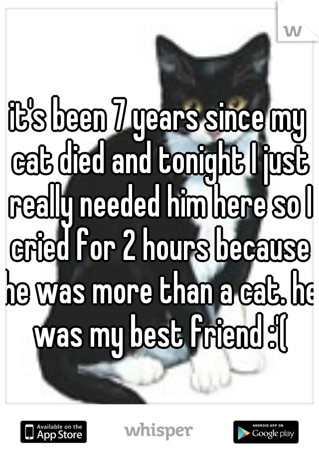 it's been 7 years since my cat died and tonight I just really needed him here so I cried for 2 hours because he was more than a cat. he was my best friend :'(