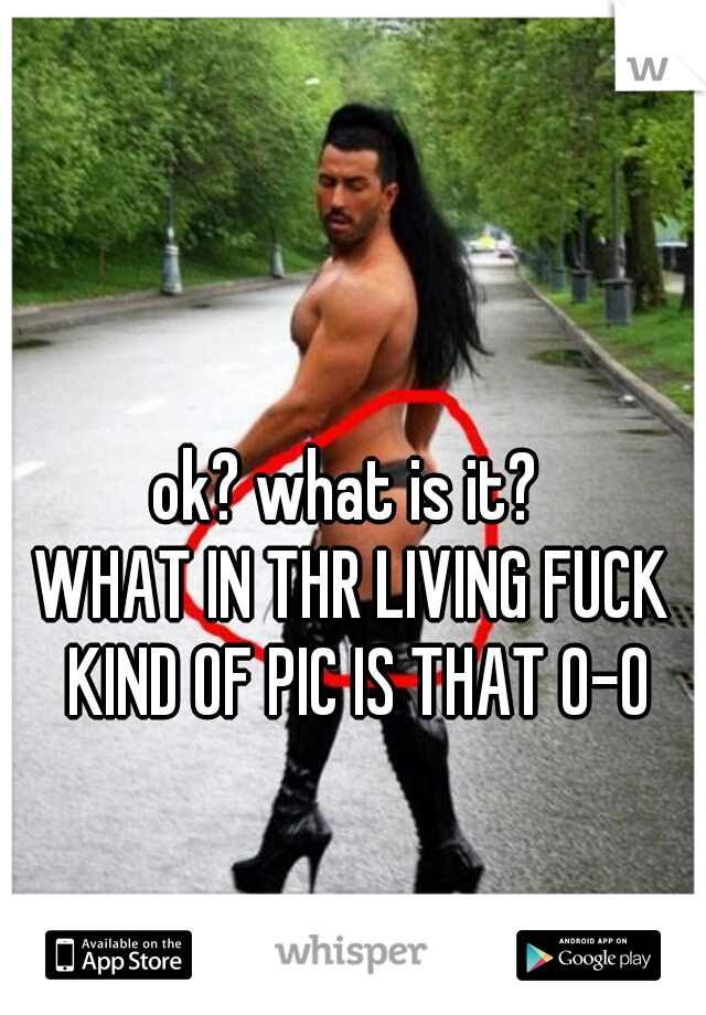 ok? what is it? 

WHAT IN THR LIVING FUCK KIND OF PIC IS THAT 0-0