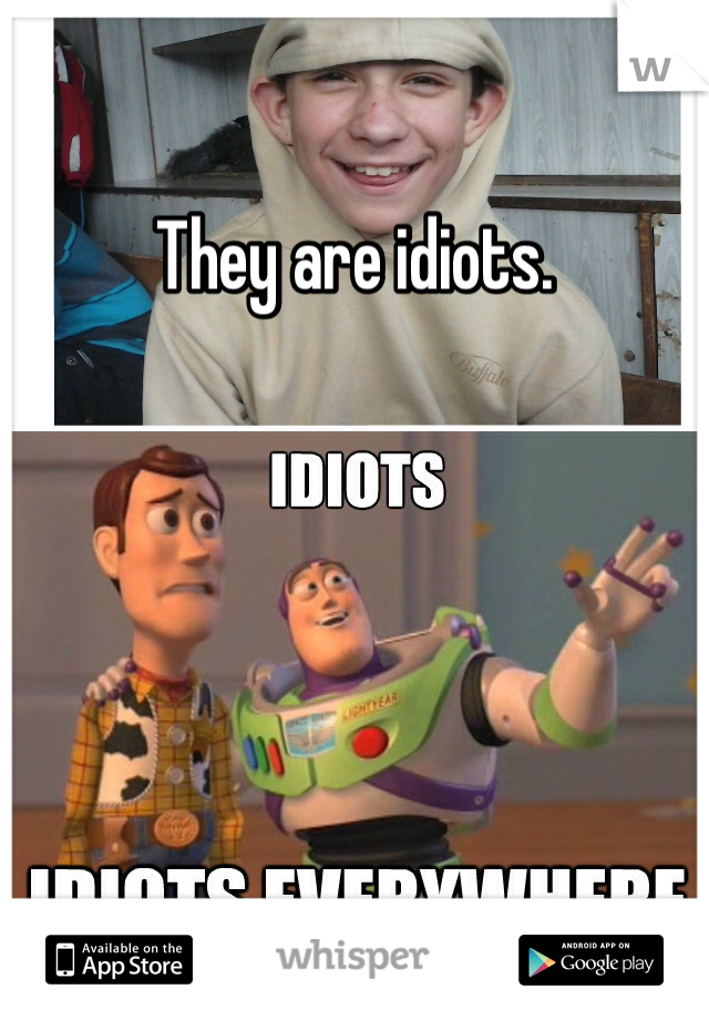 They are idiots.
