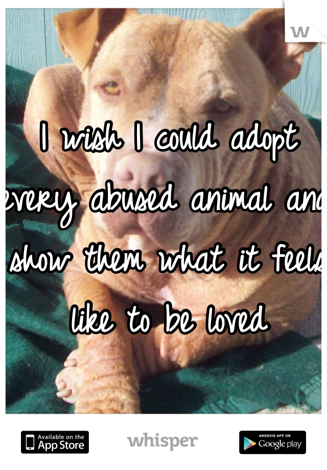 I wish I could adopt every abused animal and show them what it feels like to be loved 