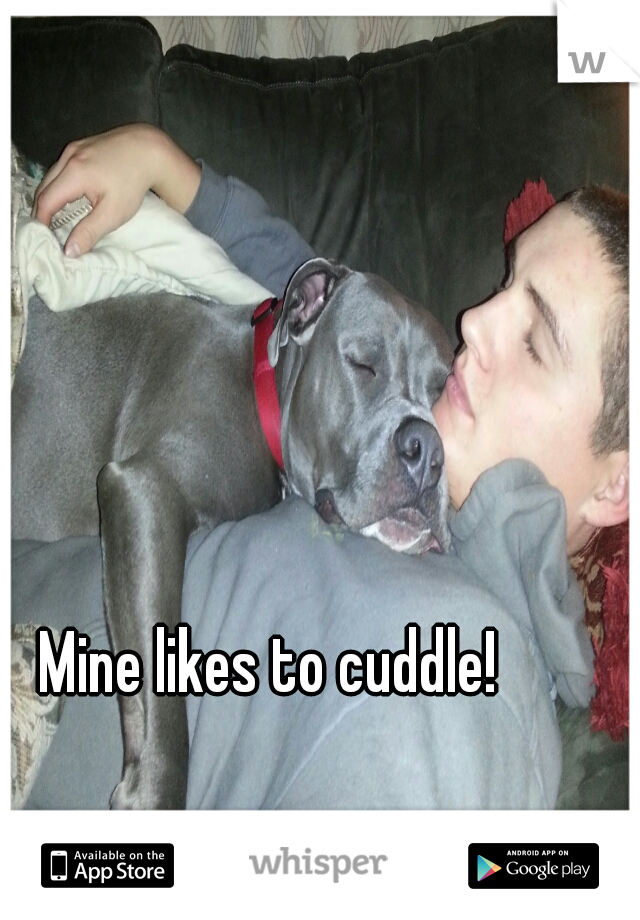 Mine likes to cuddle!