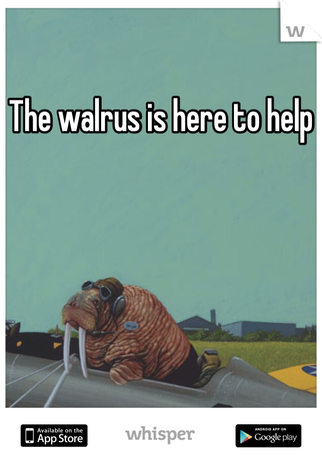 The walrus is here to help