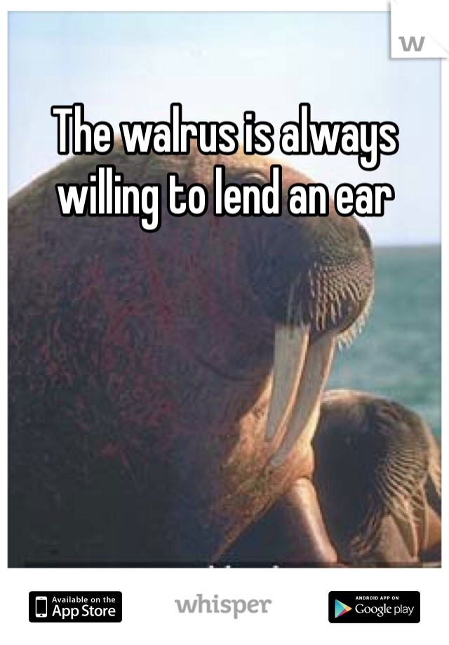 The walrus is always willing to lend an ear