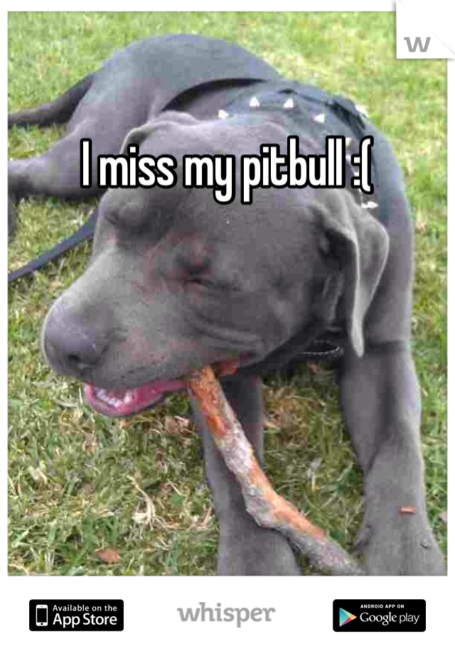 I miss my pitbull :(
