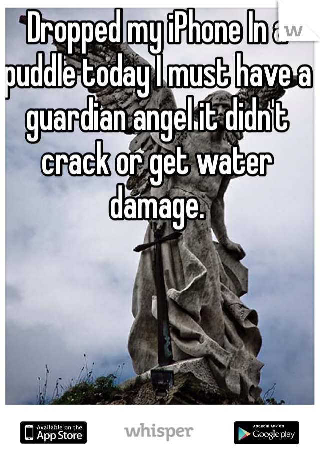 Dropped my iPhone In a puddle today I must have a guardian angel it didn't crack or get water damage. 