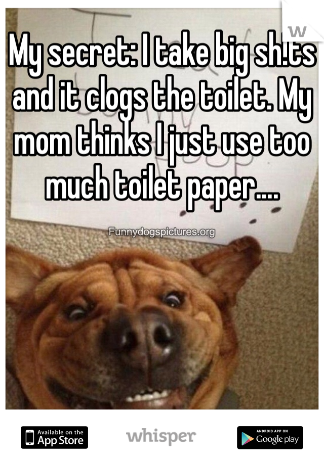 My secret: I take big sh!ts and it clogs the toilet. My mom thinks I just use too much toilet paper.... 