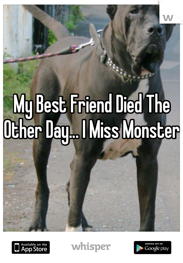 My Best Friend Died The Other Day... I Miss Monster