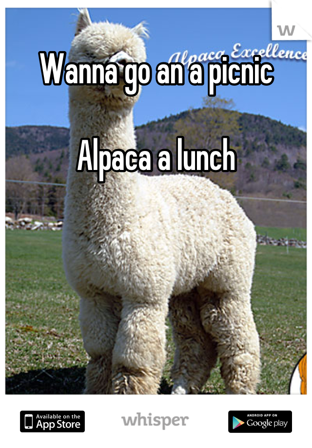 Wanna go an a picnic 

Alpaca a lunch