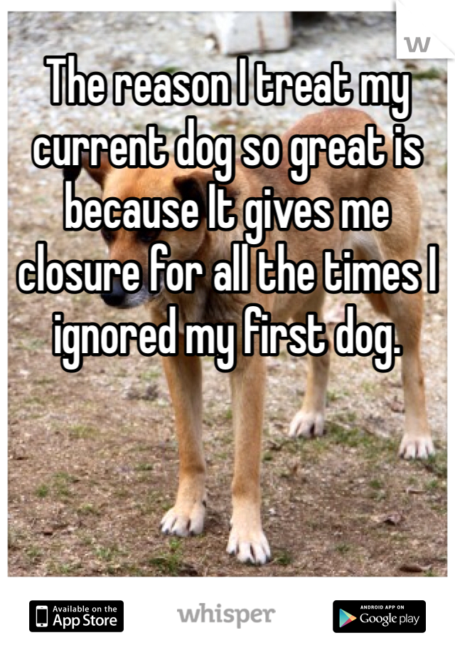 The reason I treat my current dog so great is because It gives me closure for all the times I ignored my first dog.