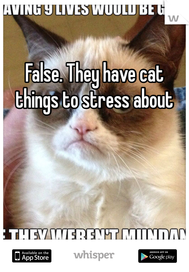 False. They have cat things to stress about