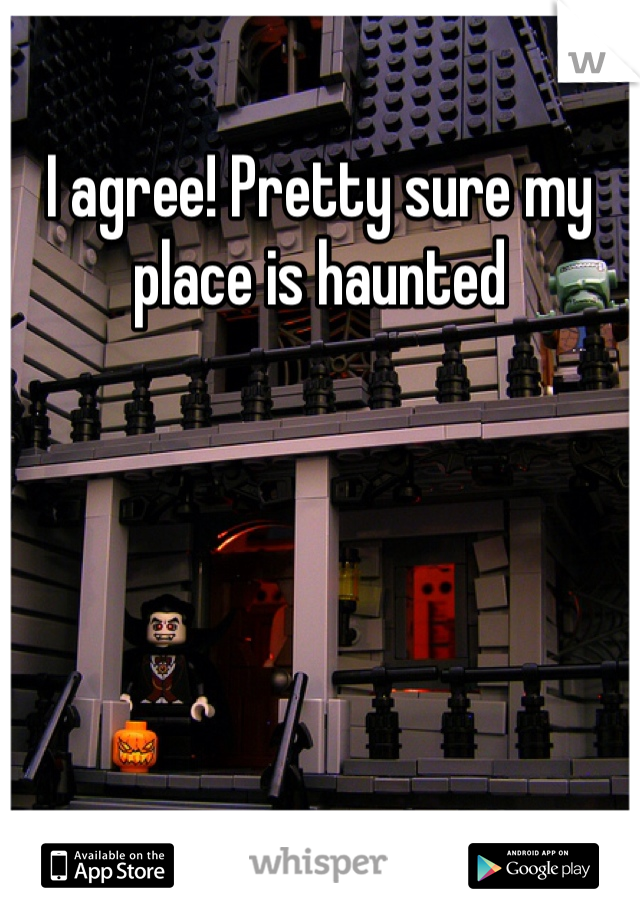 I agree! Pretty sure my place is haunted 
