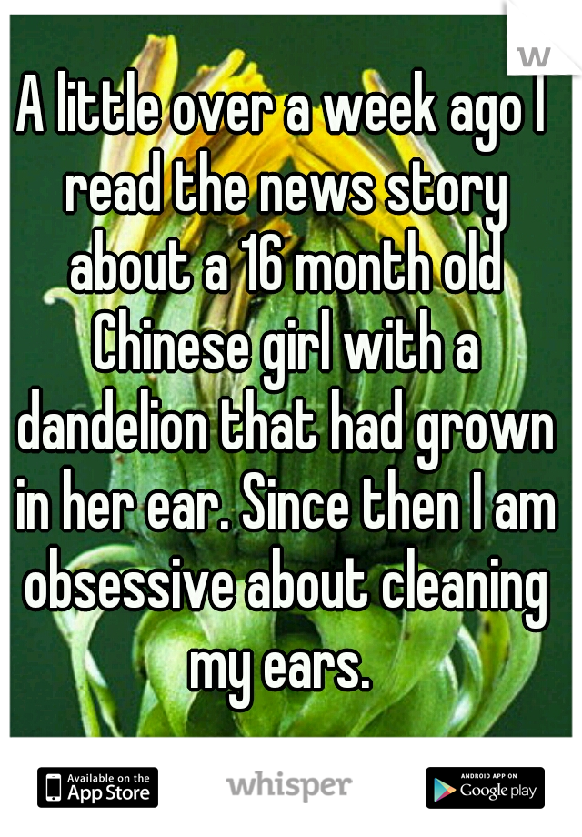 A little over a week ago I read the news story about a 16 month old Chinese girl with a dandelion that had grown in her ear. Since then I am obsessive about cleaning my ears. 