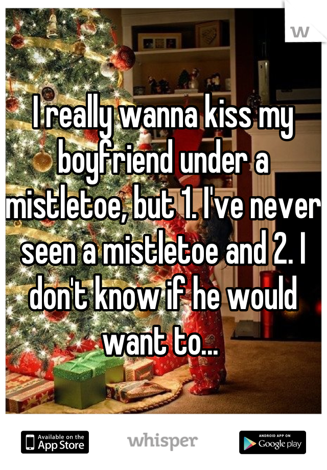 I really wanna kiss my boyfriend under a mistletoe, but 1. I've never seen a mistletoe and 2. I don't know if he would want to... 
