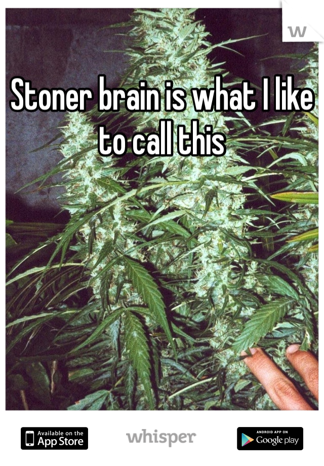 Stoner brain is what I like to call this