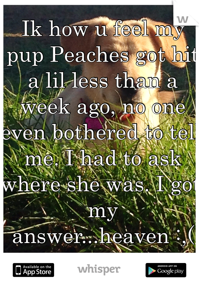 Ik how u feel my pup Peaches got hit a lil less than a week ago, no one even bothered to tell me. I had to ask where she was. I got my answer...heaven :,(
