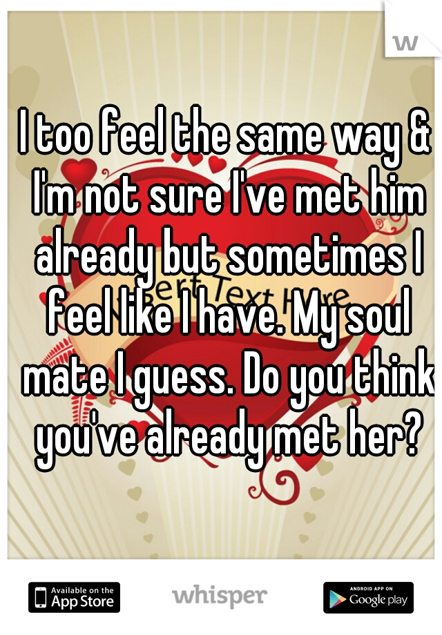 I too feel the same way & I'm not sure I've met him already but sometimes I feel like I have. My soul mate I guess. Do you think you've already met her?