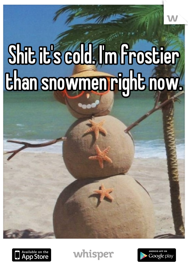 Shit it's cold. I'm frostier than snowmen right now.