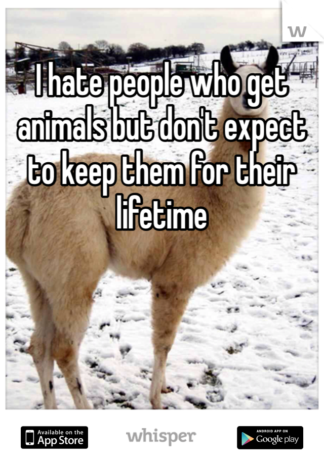 I hate people who get animals but don't expect to keep them for their  lifetime 