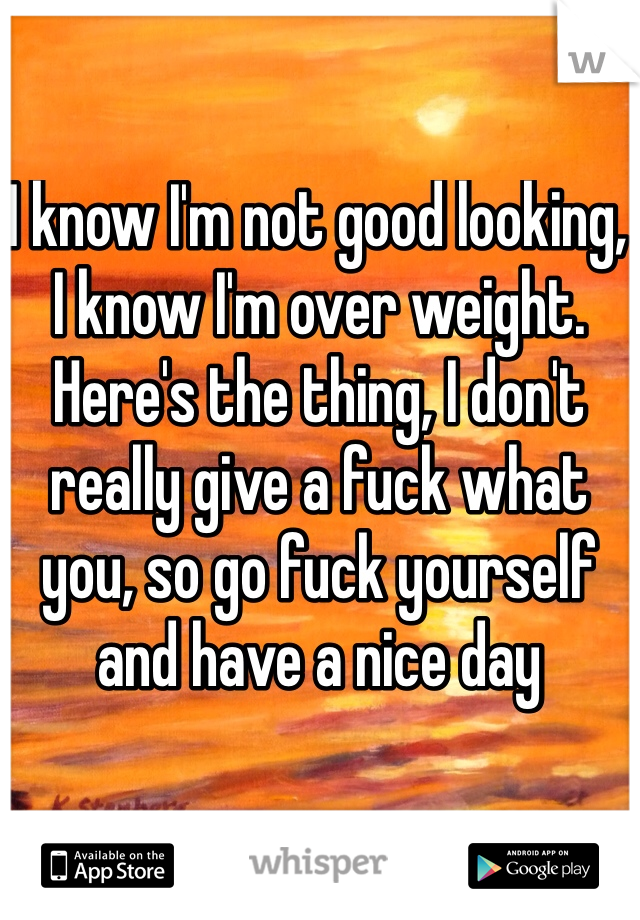 I know I'm not good looking, I know I'm over weight. Here's the thing, I don't really give a fuck what you, so go fuck yourself and have a nice day