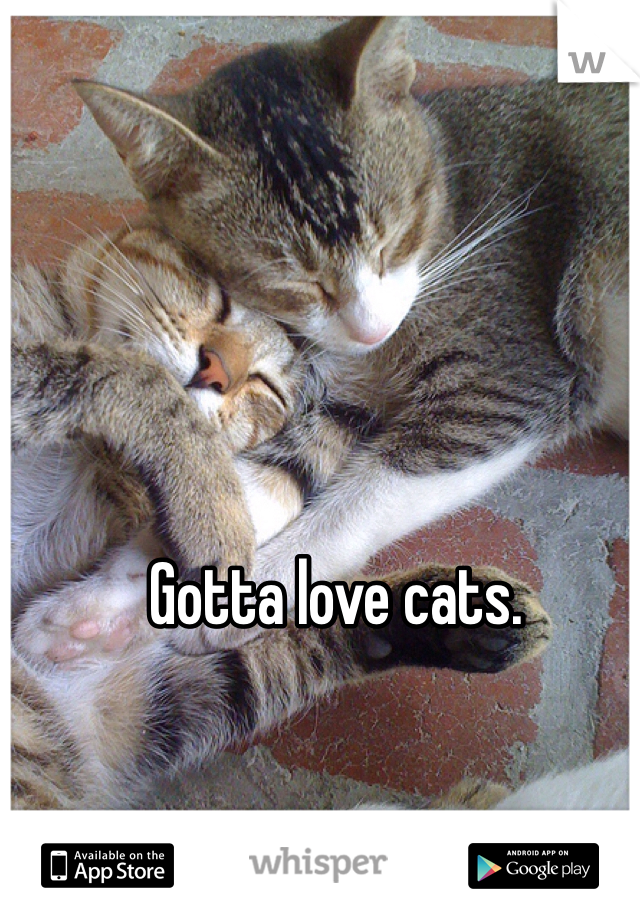 Gotta love cats.