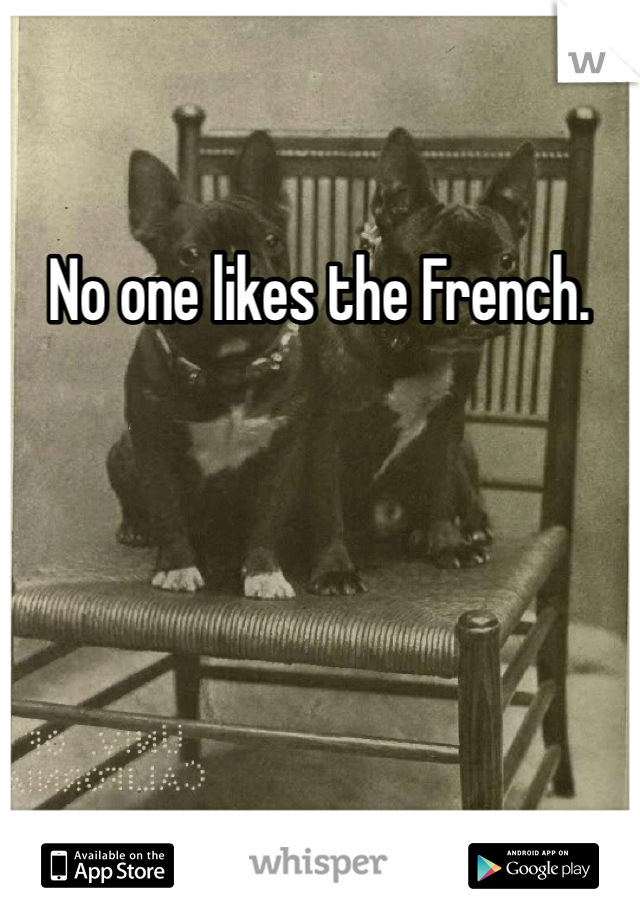 No one likes the French. 