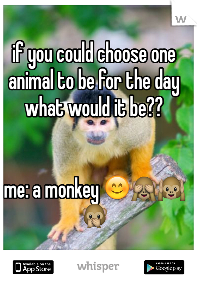 if you could choose one animal to be for the day what would it be??


me: a monkey 😊🙈🙉🙊