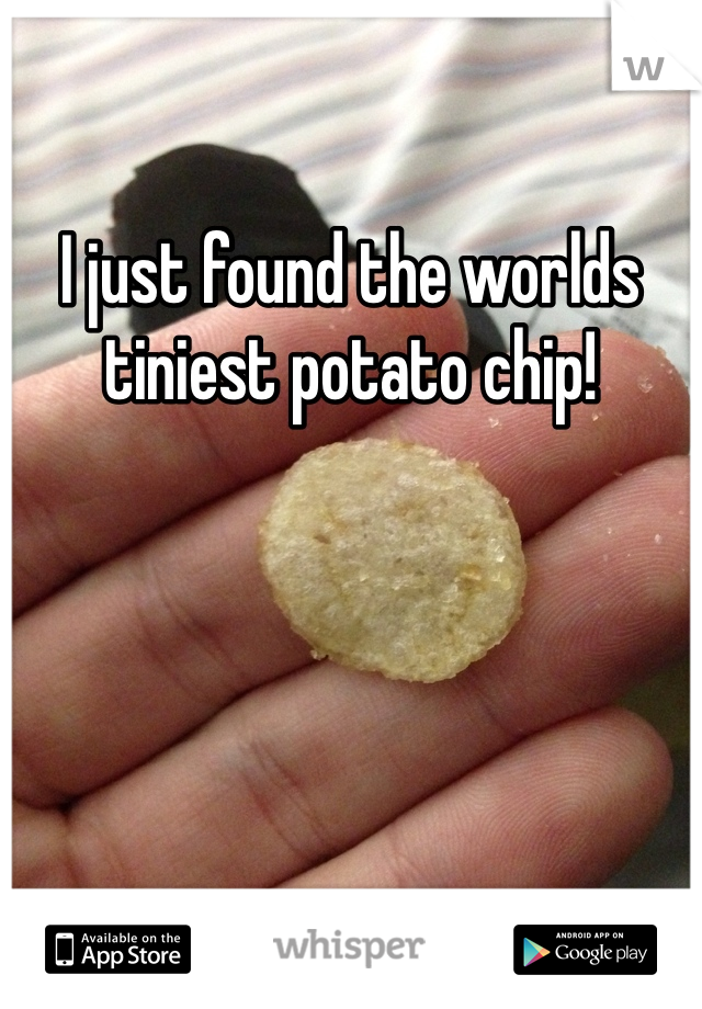 I just found the worlds tiniest potato chip! 