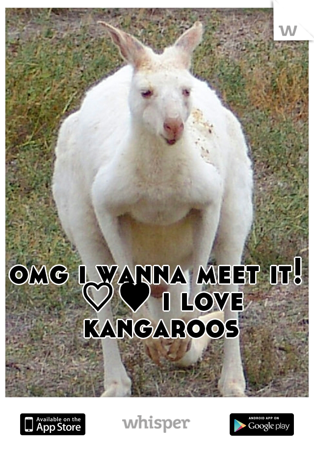 omg i wanna meet it! ♡♥ i love kangaroos