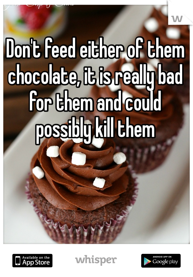 Don't feed either of them chocolate, it is really bad for them and could possibly kill them