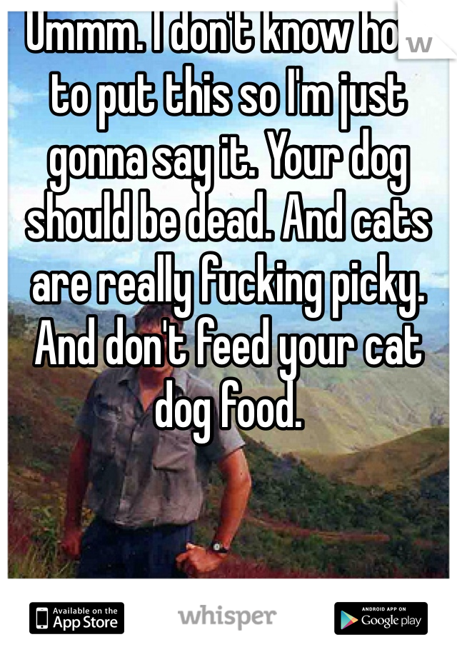 Ummm. I don't know how to put this so I'm just gonna say it. Your dog should be dead. And cats are really fucking picky. And don't feed your cat dog food.