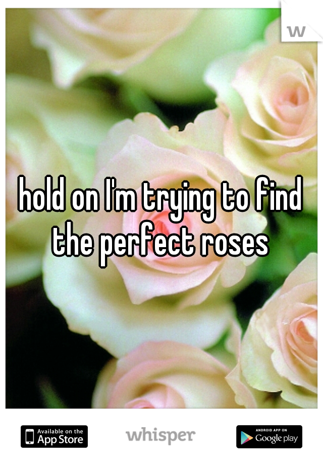 hold on I'm trying to find the perfect roses 