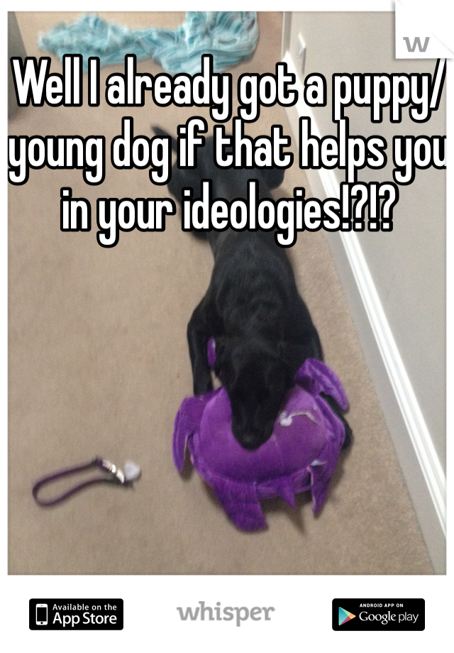 Well I already got a puppy/ young dog if that helps you in your ideologies!?!? 