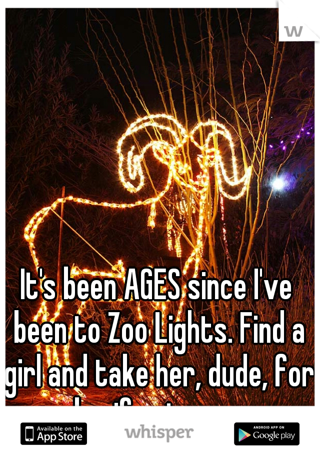 It's been AGES since I've been to Zoo Lights. Find a girl and take her, dude, for my sake, if not your own...
