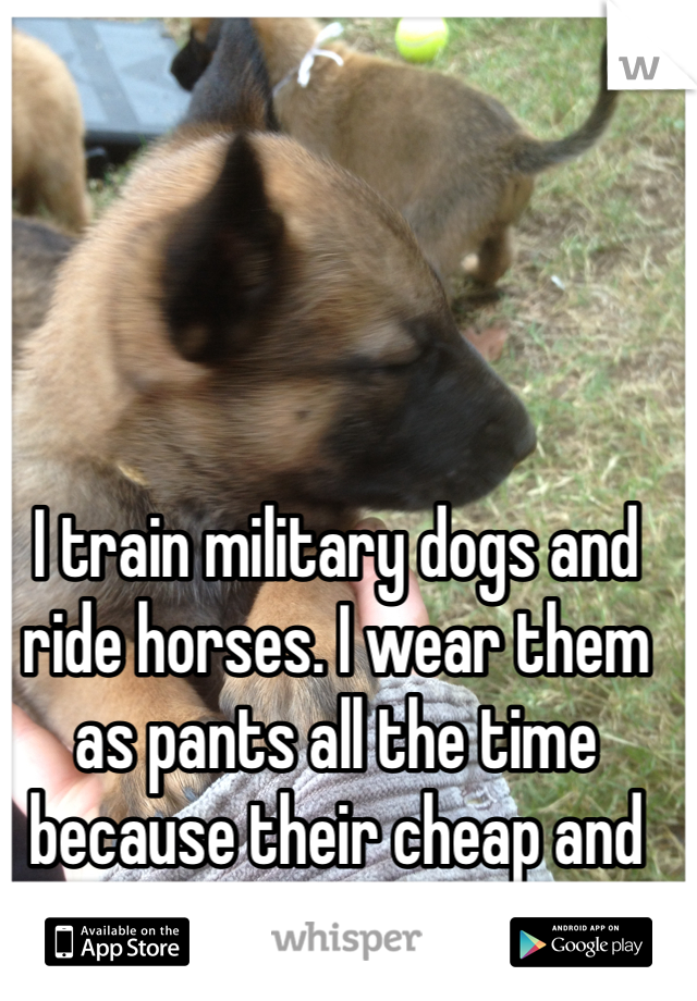 I train military dogs and ride horses. I wear them as pants all the time because their cheap and comfy