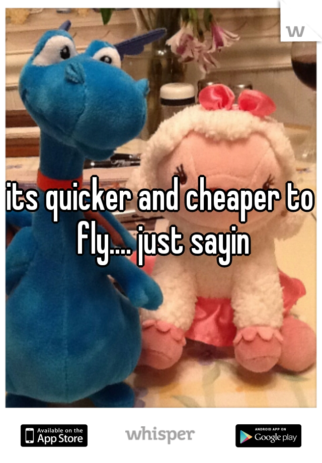 its quicker and cheaper to fly.... just sayin