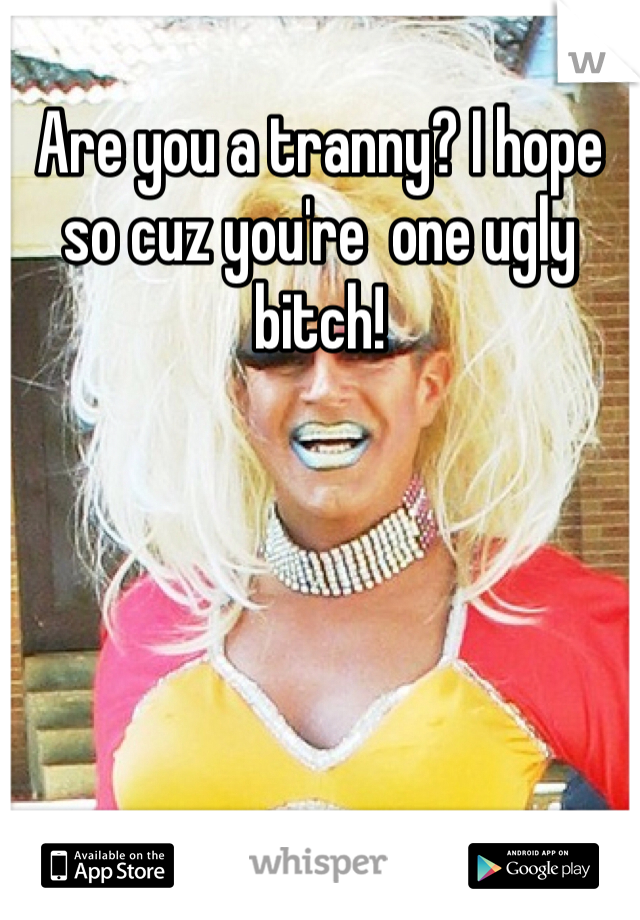 Are you a tranny? I hope so cuz you're  one ugly bitch!  
