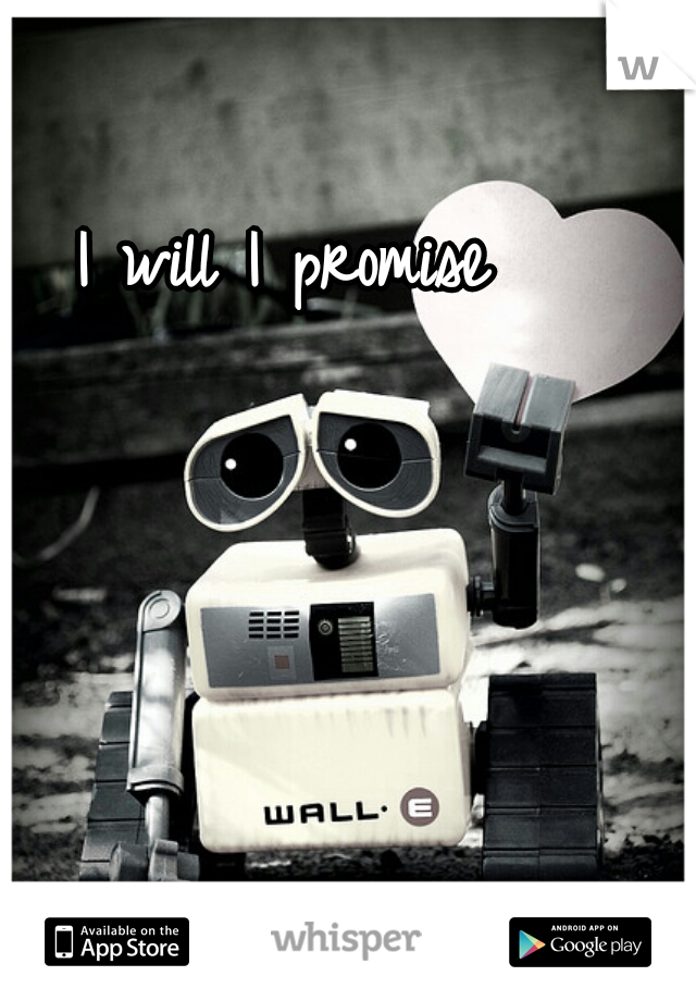 I will I promise 