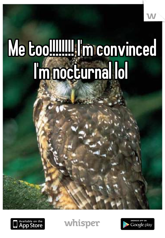 Me too!!!!!!!! I'm convinced I'm nocturnal lol 