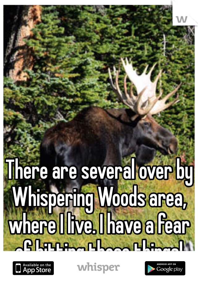 There are several over by Whispering Woods area, where I live. I have a fear of hitting those things!