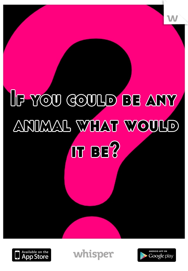 If you could be any animal what would it be?