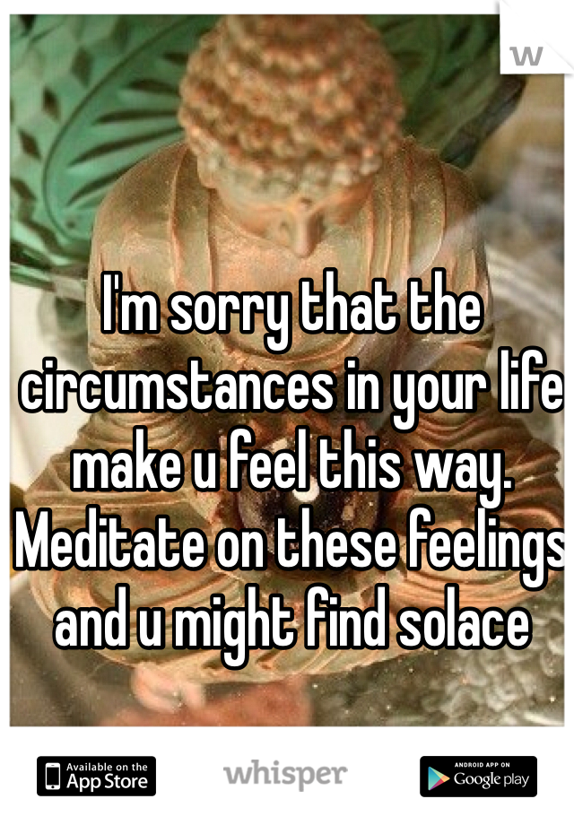 I'm sorry that the circumstances in your life make u feel this way. Meditate on these feelings and u might find solace 