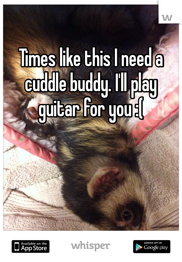 Times like this I need a cuddle buddy. I'll play guitar for you :(