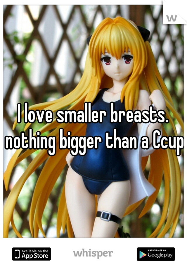 I love smaller breasts. nothing bigger than a Ccup