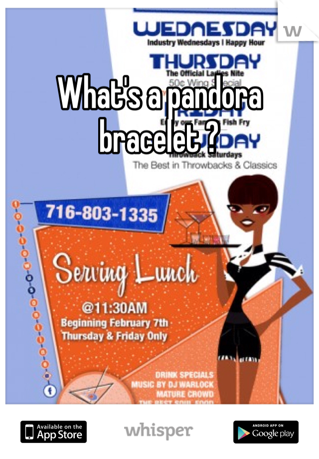 What's a pandora bracelet ?