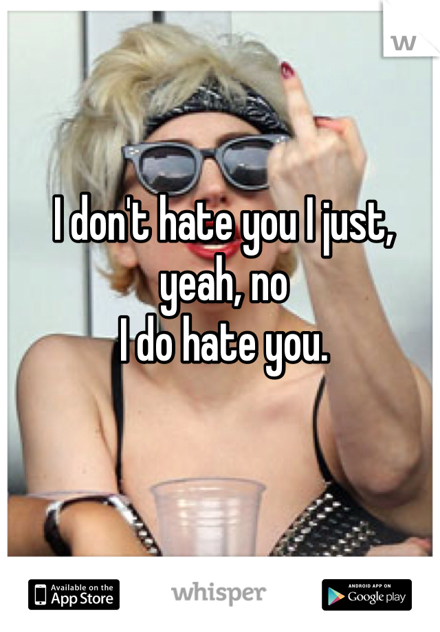 I don't hate you I just, 
yeah, no
I do hate you. 