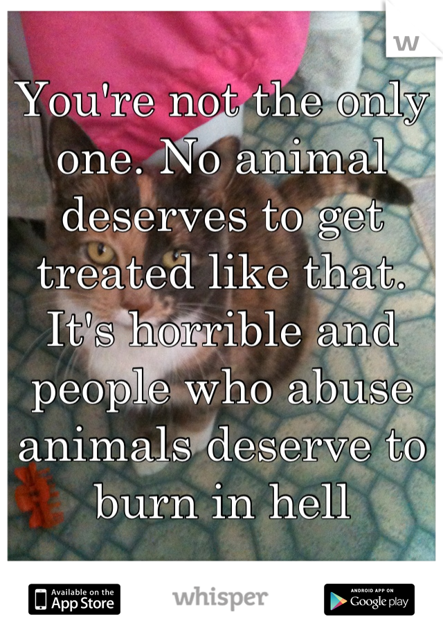 You're not the only one. No animal deserves to get treated like that. It's horrible and people who abuse animals deserve to burn in hell