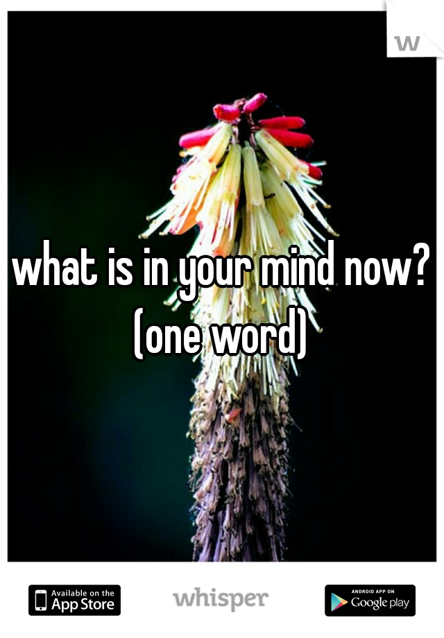 what is in your mind now?
(one word)