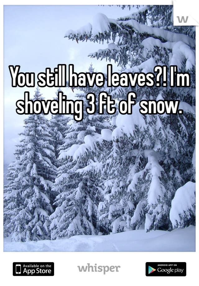 You still have leaves?! I'm shoveling 3 ft of snow. 