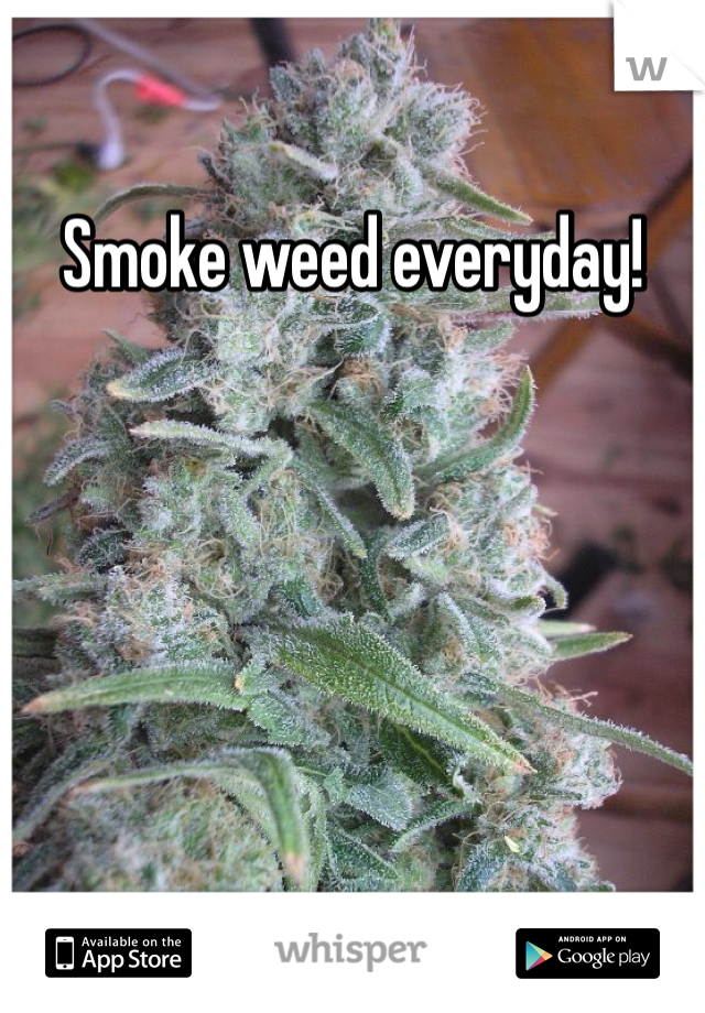 Smoke weed everyday!
